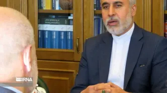 شرط بندی آمریکا بر اسب بازنده