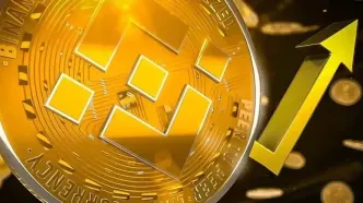 انباشت بی‌سابقه بایننس‌کوین در وال‌استریت؛ قیمت BNB چهار رقمی می‌شود؟