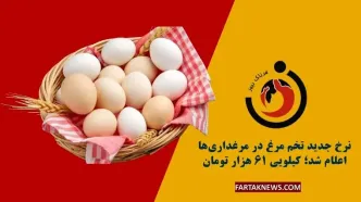 قیمت تخم‌مرغ امروز ۲۷ خرداد ۱۴۰۴ | نرخ‌های جدید بازار + جدول