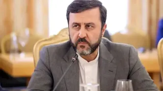 معاون گروسی پس از مذاکره، تهران را ترک کرد