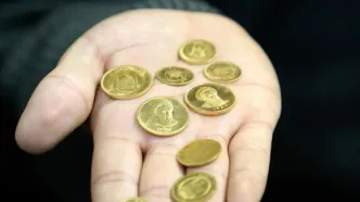 سیر تا پیاز پیش فروش سکه ۱۷ شهریور + شرایط و آدرس سایت