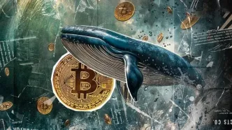 خروج ۲۰ هزار BTC از صرافی‌ها؛ سیگنال صعودی نهنگ‌ها؟