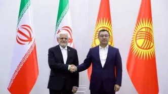 همکاری و همبستگی کشورهای منطقه به بالارفتن ضریب امنیت در مقابل تهدیدات خارجی کمک می کند