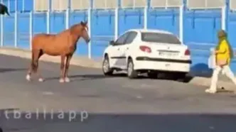 اتفاق عجیب و غریب مقابل کمپ تمرینی استقلال/ویدیو
