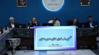 رائد فریدزاده  به جشنواره فیلم‌ کودکان و نوجوان سر می‌زند