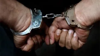 تعداد اراذل و اوباش دستگیر شده اعلام شد
