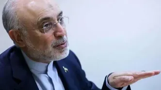 پاسخ عجیب علی‌اکبر صالحی، مجازی را ترکاند