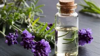 داروهای گیاهی می‌توانند عارضه داشته باشند/ داروهای گیاهی برای مصرف کودکان و مادران باردار و شیرده منع مصرف دارد