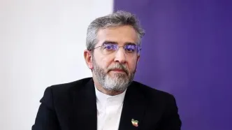 باقری کنی: باید دید آمریکا برای مذاکره اراده حل مشکل دارد یا خیر