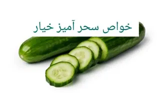 خواص و مضرات خیار | بررسی کامل ارزش غذایی