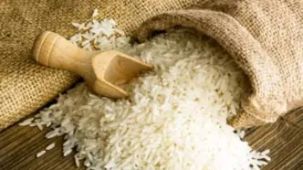 برنج ایرانی ارزان شد؟
