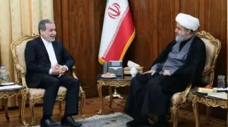 دیدار دبیرکل مجمع جهانی تقریب مذاهب اسلامی با عراقچی