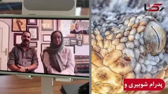 ماه عسل زوج ایرانی در کنار یوزپلنگ های ایرانی ! / ستاره و پدرام؛ شکارگر لحظه ها در دل طبیعت