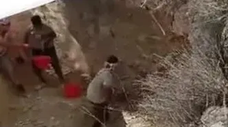 نه تنها انسان‌ها که حیات وحش جنوب کشور تشنه‌اند / بحران بی‌آبی در جنوب و مرکز ایران دیگر هشدار نیست، واقعیت امروز است