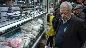 قطع برق، مرغ را گران کرد!
