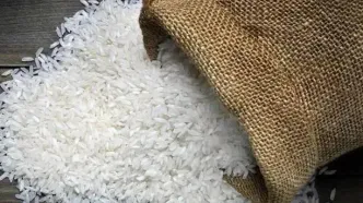 خبر رسمی درباره برنج اعلام شد