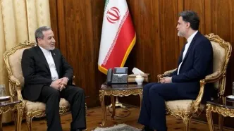 دیدار عراقچی با سفیر جدید ایران در کرواسی