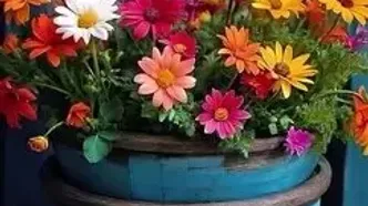 فال ابجد اول شهریور