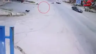 تصادف عمدی هولناک در نوشهر؛ راننده به زندان منتقل شد! + رکنا