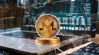 حتی حمله ۵۱ درصدی هم نتوانست جلوی رشد مونرو را بگیرد! تحلیل و پیش‌بینی قیمت XMR