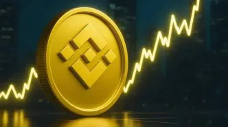 رکوردشکنی‌های پیاپی BNB؛ این مسیر تا کجا ادامه دارد؟