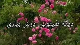 فال ابجد 23 مرداد