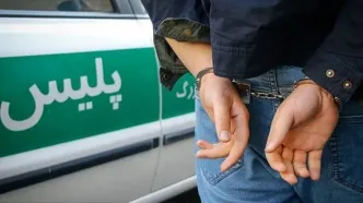 دستگیری سارقان خانه‌های اجاره‌ای یک‌ روزه در تهران