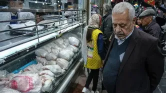 بسته‌بندی مرغ از مرغ گران‌تر شد!