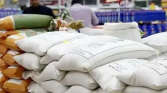 وزیر دادگستری: برنج وارداتی با ارز ترجیحی به دست مردم نمی‌رسد/ پیشنهاد شده دولت مسئولیت توزیع این کالا را بر عهده بگیرد