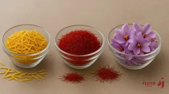 معرفی پرچم زعفران؛ زردی زعفران چه کاربردی دارد؟