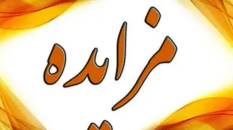 مزایده و فروش املاک متهمان پرونده کثیرالشاکی کینگ مانی/ ویدئو