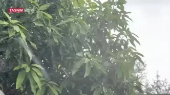 بارش باران مونسون در هرمزگان