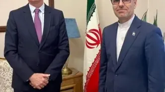 دیدار سفیر انگلیس در تهران با سخنگوی وزارت خارجه +عکس