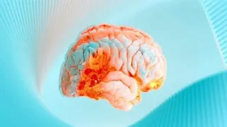 نقش کلسترول در عملکرد مغز