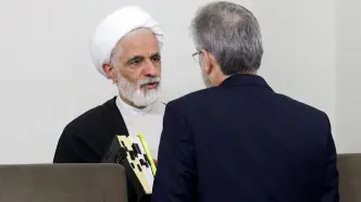 معاون حقوقی رئیس‌جمهور: نظر مجمع تشخیص درباره CFT مثبت است