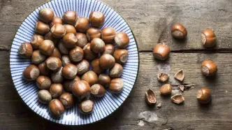 همه چیز درباره فندق و خواص آن + طبع و ارزش غذایی