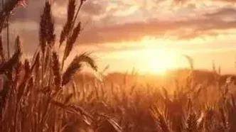 فال حافظ 11 مرداد