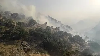 آتش‌سوزی مراتع کوه دیل گچساران مهار شد