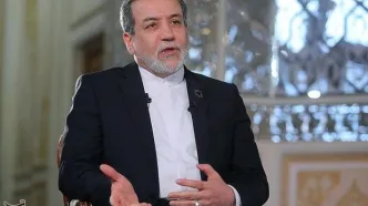 حضور عباس عراقچی در مسیر پیاده روی اربعین