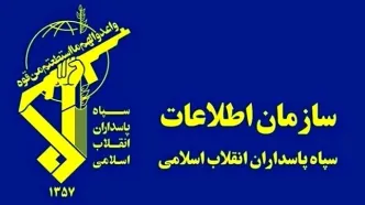 سازمان اطلاعات سپاه افعی برق‌ خوار ایران را شکار کرد