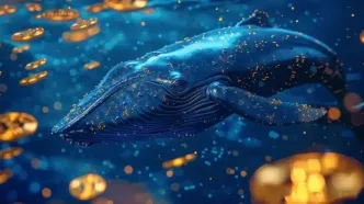 در آستانه انتشار گزارش تورم آمریکا، نهنگ‌ها کدام رمزارزها را می‌خرند؟