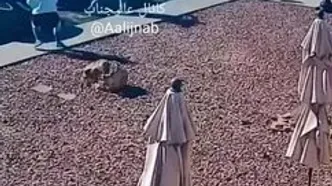 لحظه قتل مرد درشت هیکل بعد از مشت سهمگین