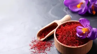 ادویه‌ای با خواص ضدافسردگی و تقویت حافظه در طب سنتی