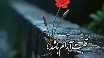 فال ابجد محشر 24 مرداد