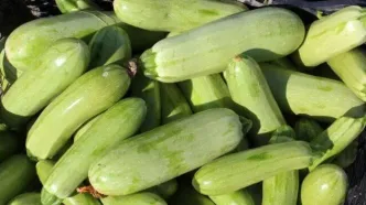 یک خوردنی مفید برای کاهش نفخ