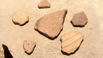 ساخت مرغداری در حریم میراث ساسانی!