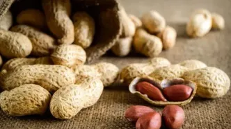 بادام‌زمینی روند پیری را آهسته می‌کند