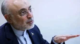 پاسخ عجیب علی‌اکبر صالحی، مجازی را ترکاند