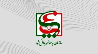 تصویب ۲ دستورالعمل کلیدی در حوزه آموزش همگانی و پناهگاه‌ها