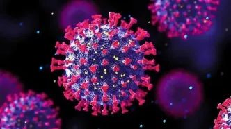 روش‌های انتقال ویروس HPV